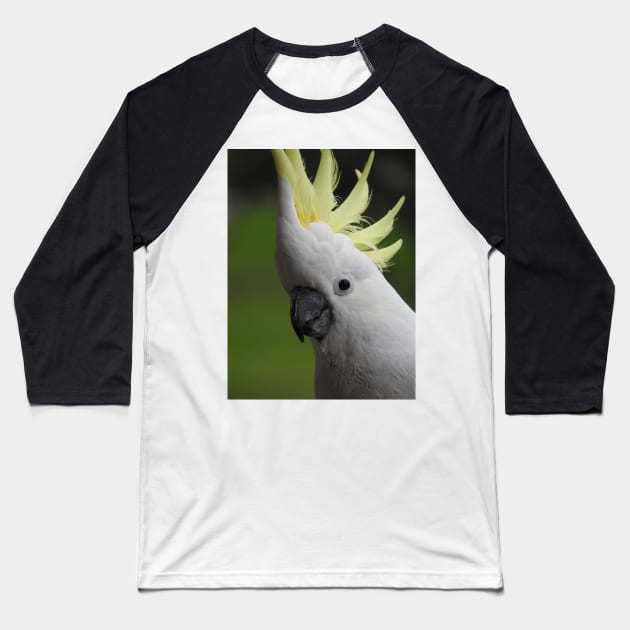 Sulphur Crested Cockatoo Baseball T-Shirt by kirstybush